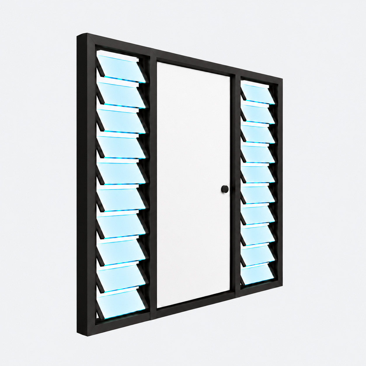 Windows Beside Doors